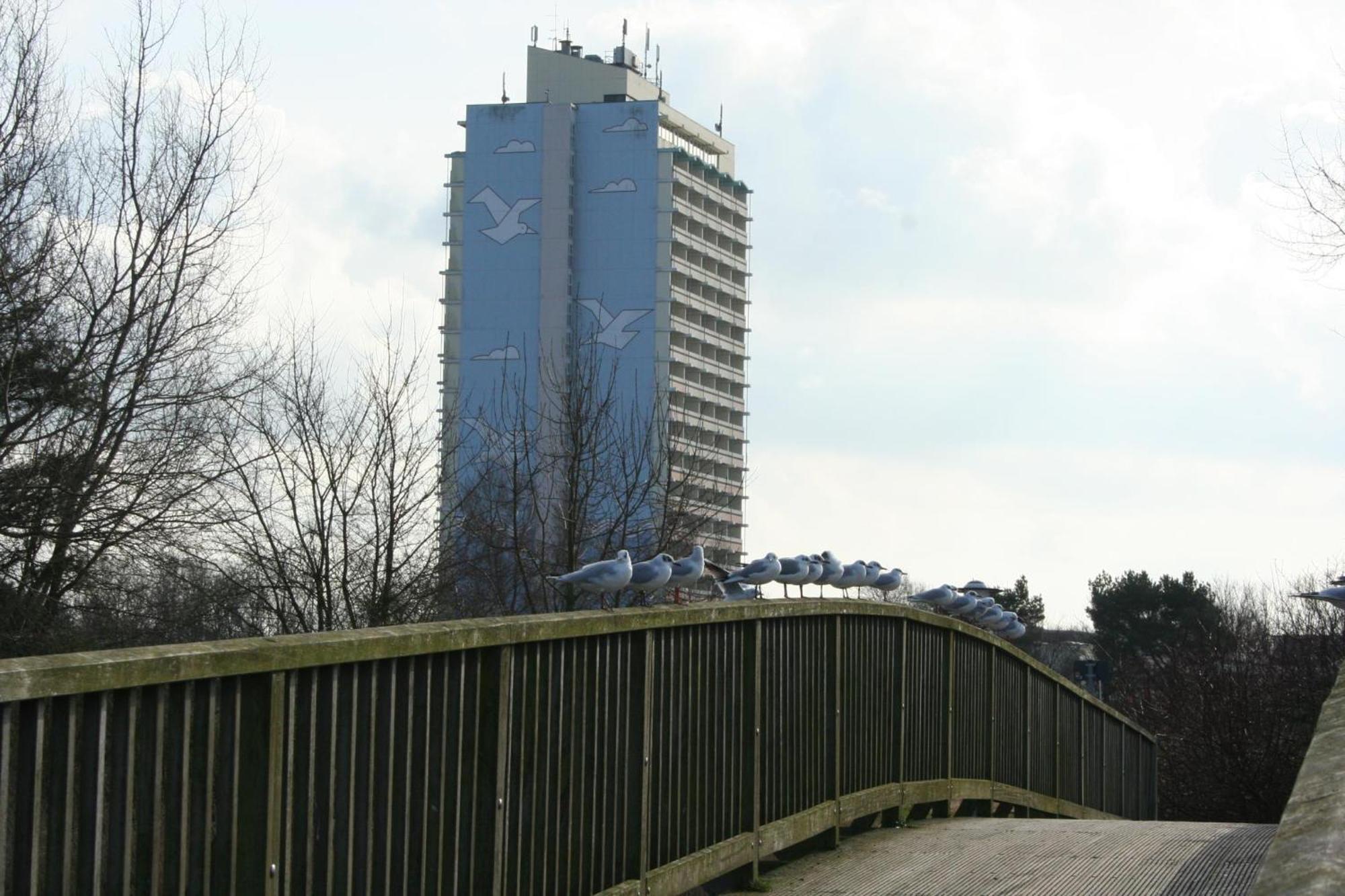 Ferienappartement K110 Fuer 2-4 Personen In Strandnaehe 布拉希里恩 外观 照片